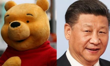 وقتی رئیس جمهور چین خرسی به نام وینی پو را ممنوع کرد