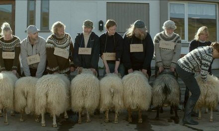 بازسازی «قوچ» فیلم تحسین شده ایسلندی توسط جرمی سیمز استرالیایی