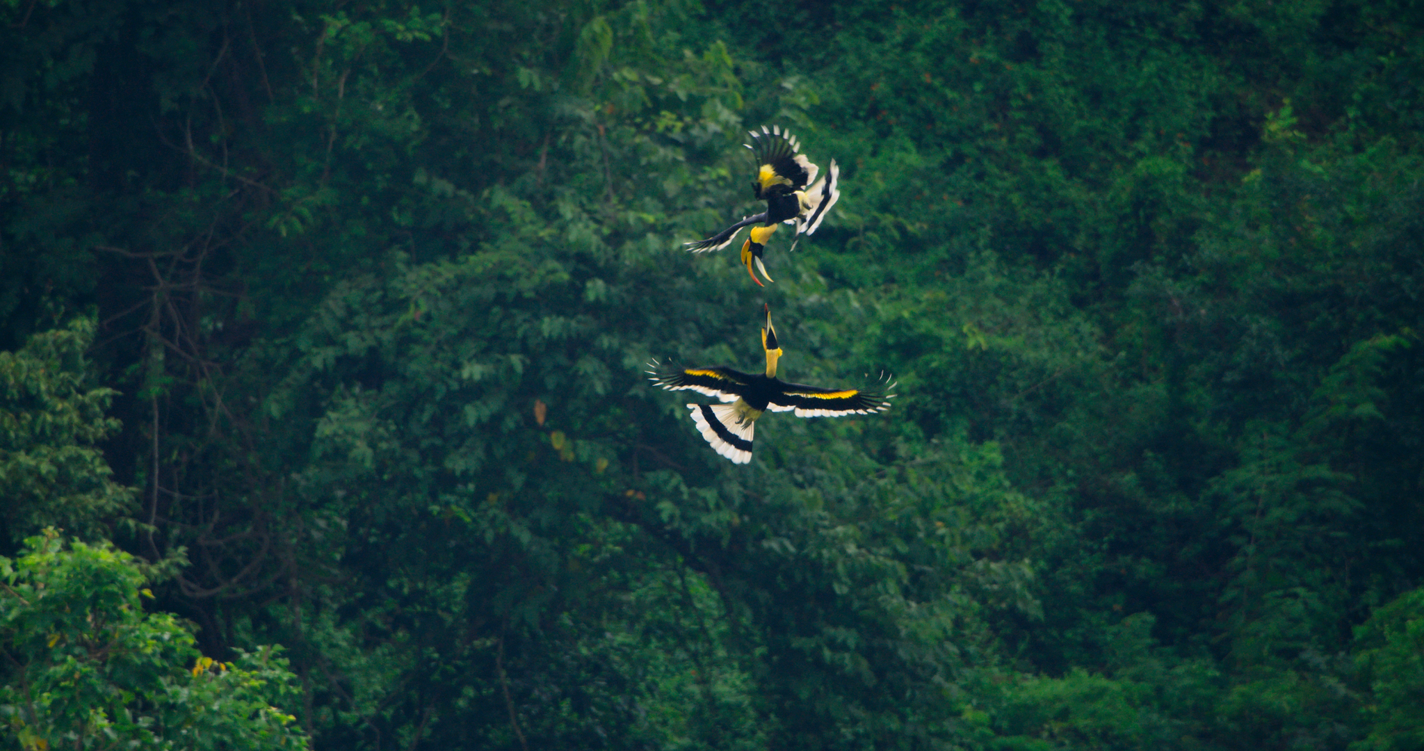 چرخه تعادل در خانه ما/شادی حاجی مشهدی